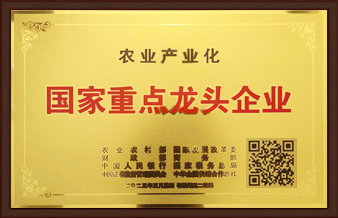 國家重點龍頭企業(yè)